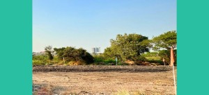 ขาย ที่ดิน จัดสรรแบ่งขาย เมืองสุพรรณบุรี ที่ดินทำเลทอง
