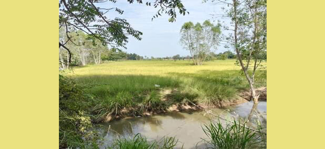 ขาย ที่ดิน อำเภอหนองบุญมา ทำสวนเกษตร ทำโคกหนองนา เหมาะสร้างบ้าน