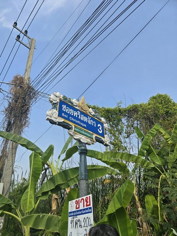 บ้านเดี่ยว ขาย Luxury-detached-house-for-sale, บ้านเดี่ยวหรู2ชั้นพร้อมสระว่ายน้ำสุขุมวิท in-Sukhumvit71,SoiPridiBanomyong26 Luxury-detached-house-for-sale, rightintheheartofSukhumvit