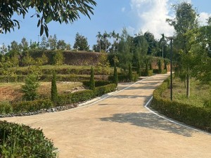 ที่ดิน ขาย ลงทุนทุนสวนเรียน-จันทบุรี-รับรายได้ทันทีจากผลผลิต 泰国榴莲果园投资 CheaperthanOthersbyMillions- Durian-Farm-Investment-Chanthaburi- 泰国尖竹汶府榴莲果园投资立即