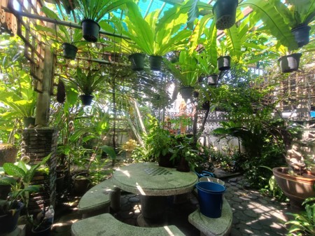 ขาย บ้าน เกษตรนวมินทร์–เอกมัย–รามอินทรา สะดวกเดินทางหลายทาง บ้านมือสองลาดพร้าวโชคชัย4 ใกล้โรงพยาบาลเปาโลโชคชัย4 เลียบด่วน