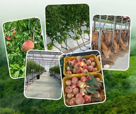 บริการ ประกาศ รับจัดหางาน ไม่หลอกลวงทำงานต่างประเทศถูกกฎหมาย งานประเทศอิสราเอล งานสวนประเทศออสเตรเลีย งานประเทศเกาหลีใต้