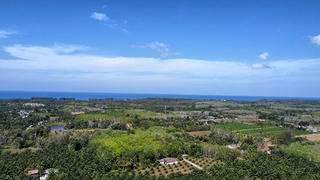 ที่ดิน ขาย ใกล้สนามบินภูเก็ตใกล้ทะเล ซื้อที่ดินโคกกลอยเจ้าของขายเอง ที่ดินเปล่าโคกกลอยโฉนดพร้อมโอน ขายที่ดินใกล้หาดนาใต้ไม่เกินล้าน เหมาะทำบ้านพักตากอากาศ