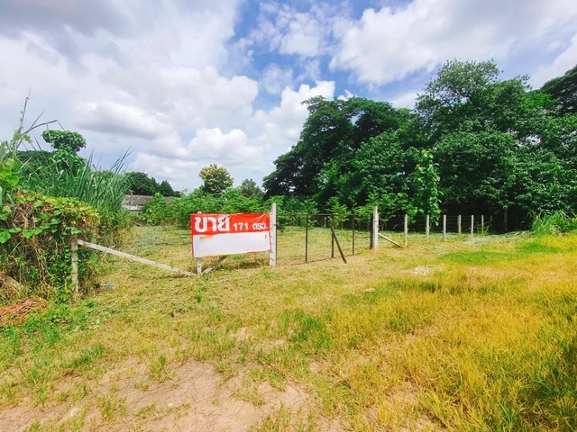 ขาย ที่ดิน เหมาะสร้างบ้านเช่าทำออฟฟิศ เหมาะสร้างบ้านอพาร์ตเมนต์หอพัก บ้านป่าพร้าวนอกซอย6วงแหวนรอบ1 ใกล้ทั้งเมืองสนามบินและศูนย์การค้า ยินดีรับนายหน้า