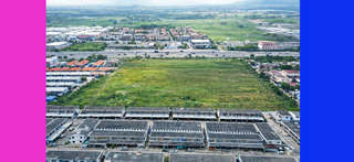 ที่ดิน ขาย เหมาะทำหมู่บ้าน ราคาถูกสุด ใกล้โลตัสบ้านบึง ติดถนน344 ที่ดินชลบุรี30ไร่